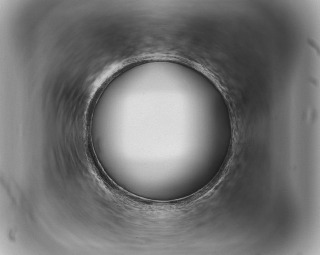 X0000103280008200808291056