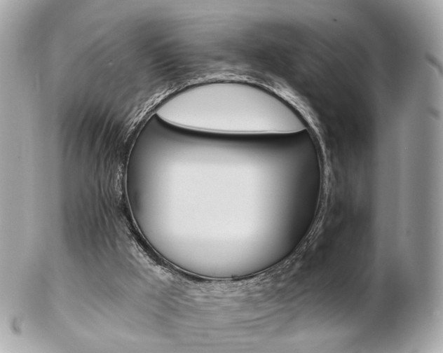 X0000103280009200808291056