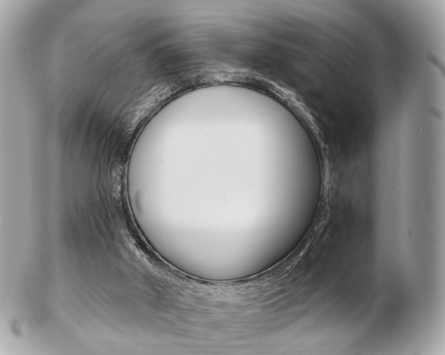 X0000103280010200808291056