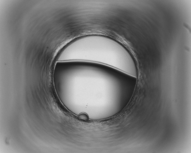 X0000103280012200808291056