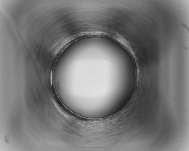 X0000103280013200808291056