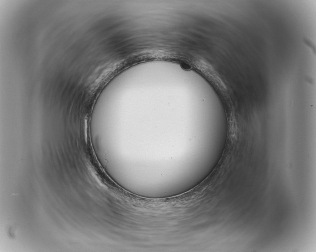 X0000103280014200808291056