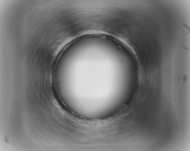 X0000103280015200808291056