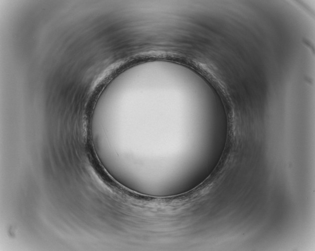 X0000103280016200808291056