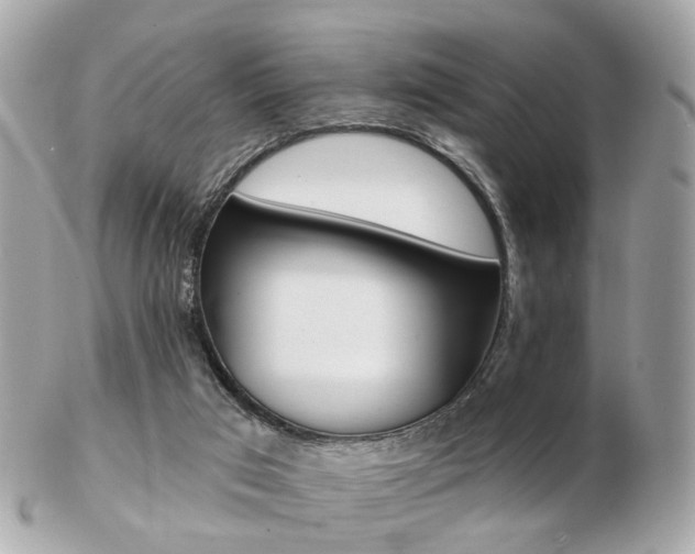 X0000103280017200808291056