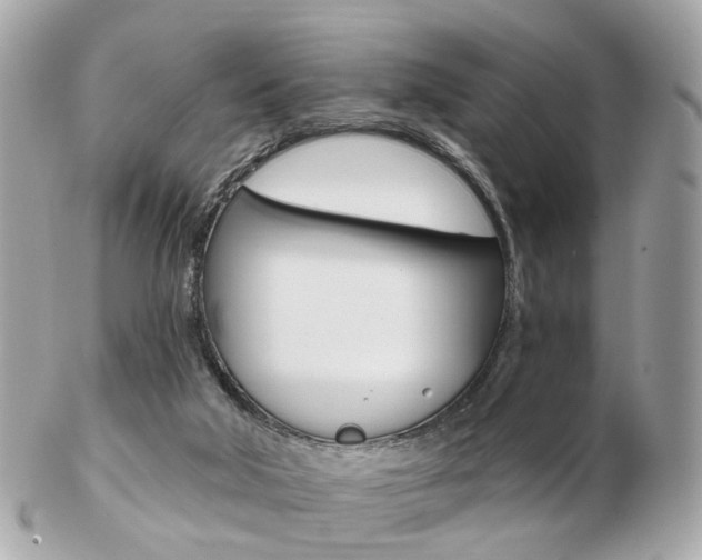 X0000103280018200808291056