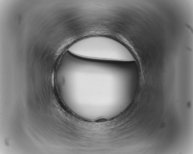 X0000103280019200808291056