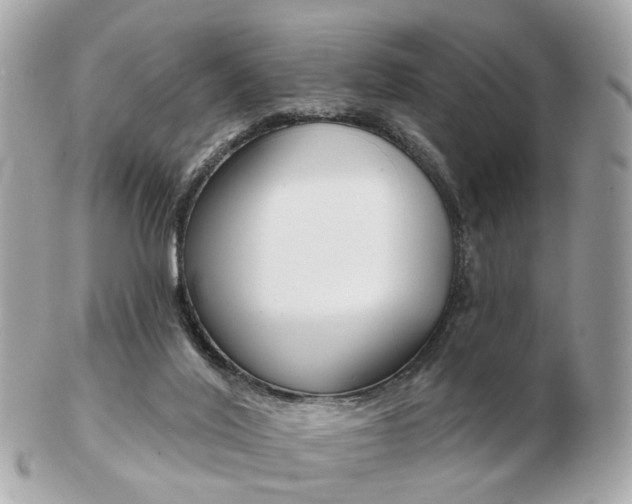 X0000103280020200808291056