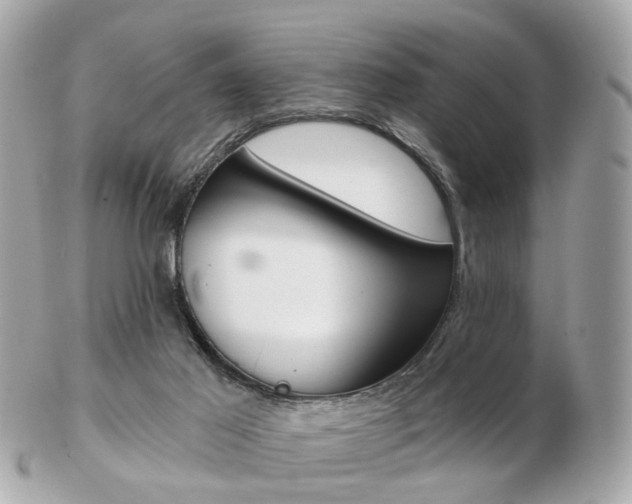 X0000103280021200808291056