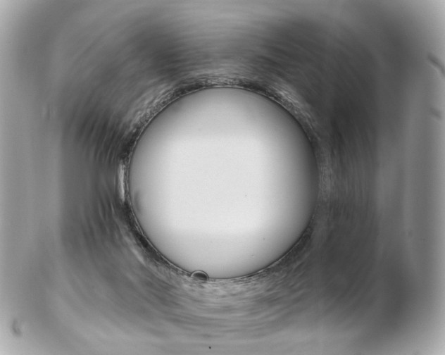 X0000103280022200808291056