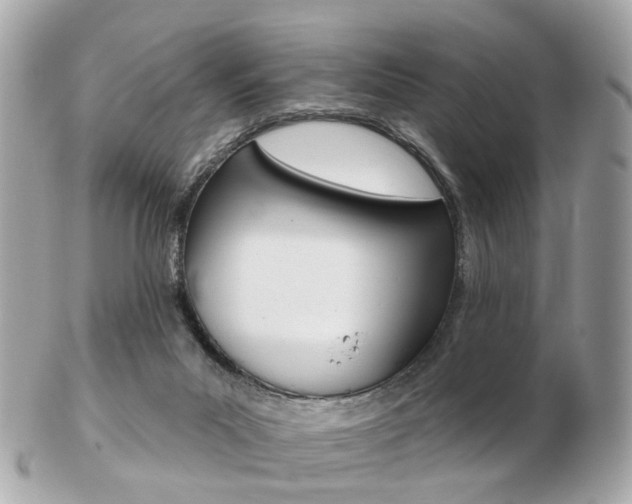 X0000103280023200808291056