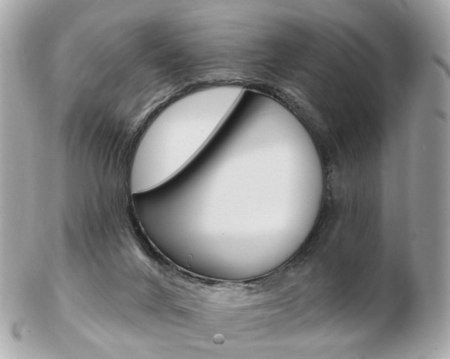 X0000103280024200808291056