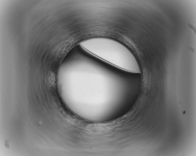 X0000103280025200808291056