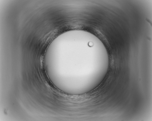 X0000103280026200808291056