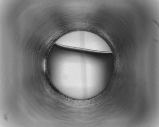X0000103280027200808291056