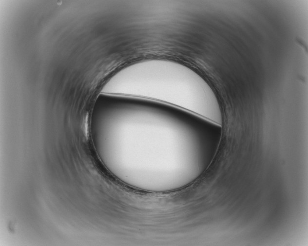 X0000103280028200808291056
