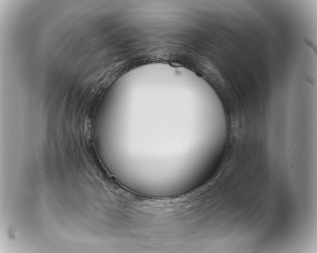 X0000103280029200808291056