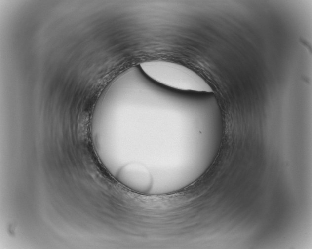 X0000103280030200808291056