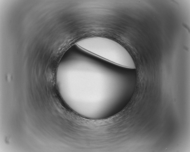 X0000103280031200808291056