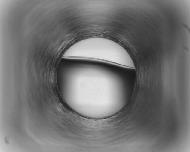 X0000103280035200808291056