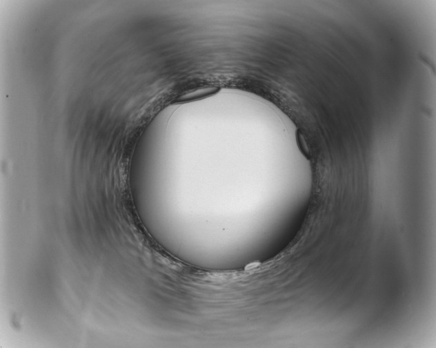 X0000103280037200808291055