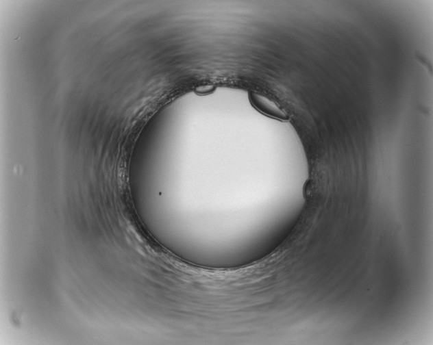X0000103280039200808291055