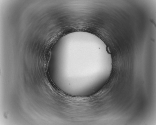 X0000103280040200808291055