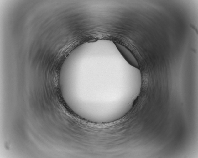 X0000103280043200808291055