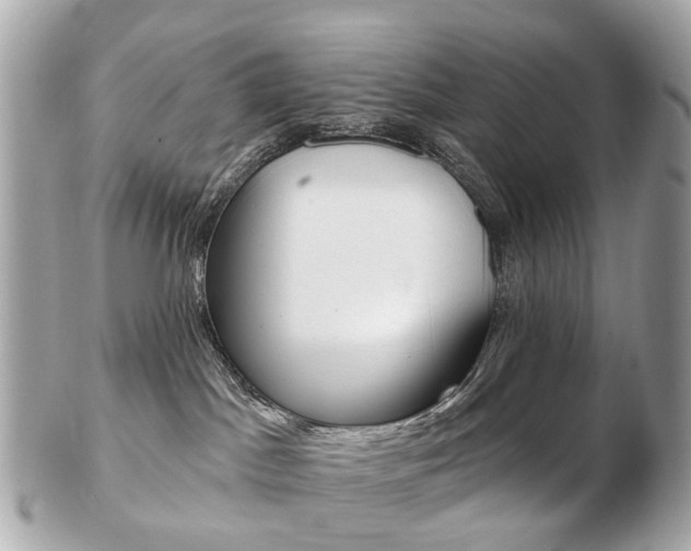 X0000103280045200808291055