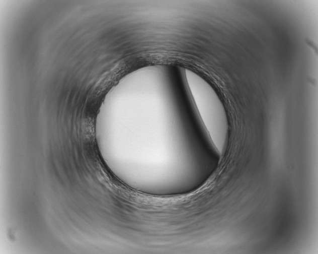 X0000103280048200808291055