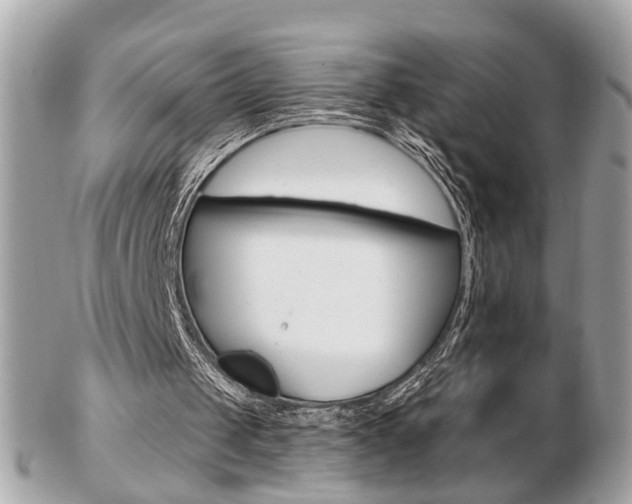 X0000103280049200808291055