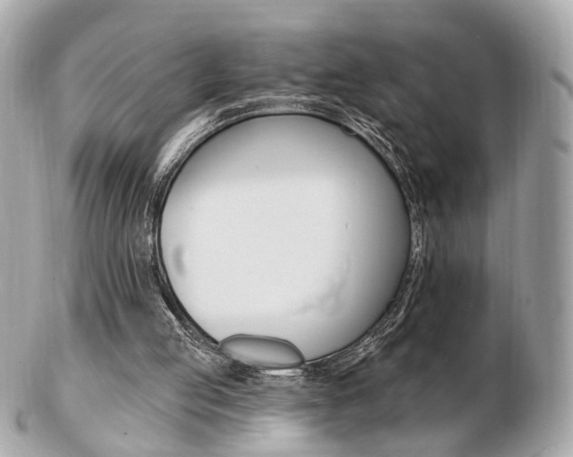 X0000103280053200808291055