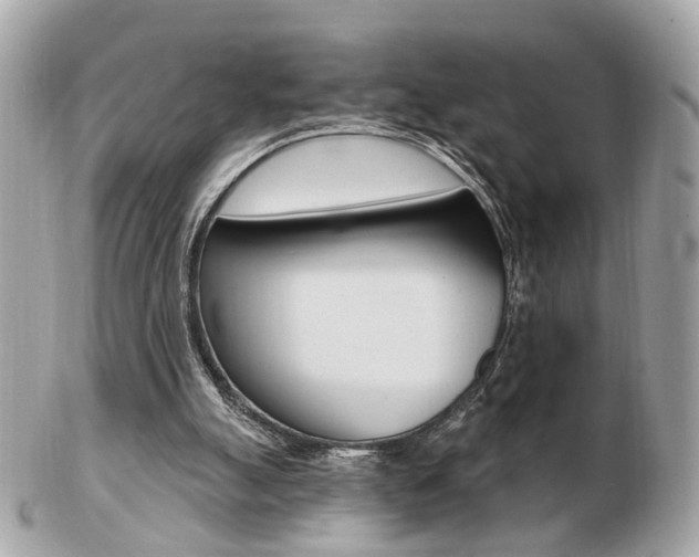 X0000103280055200808291055