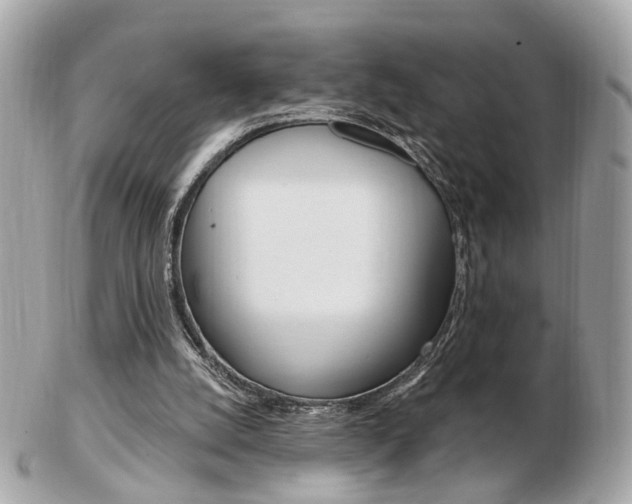 X0000103280056200808291055