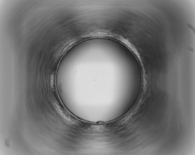 X0000103280057200808291055