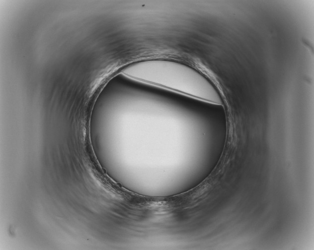 X0000103280059200808291055