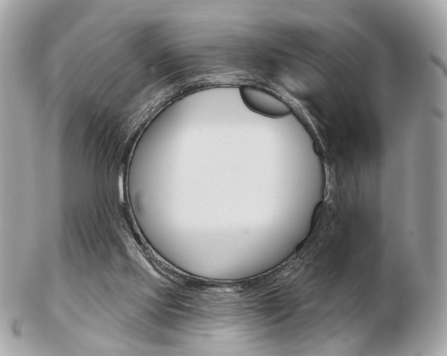 X0000103280061200808291055