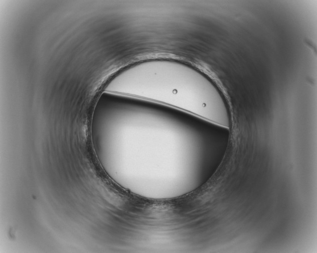X0000103280063200808291055