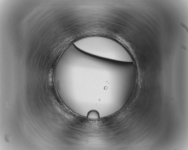 X0000103280065200808291055