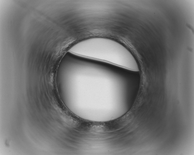X0000103280066200808291055