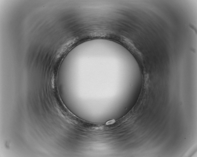 X0000103280068200808291055