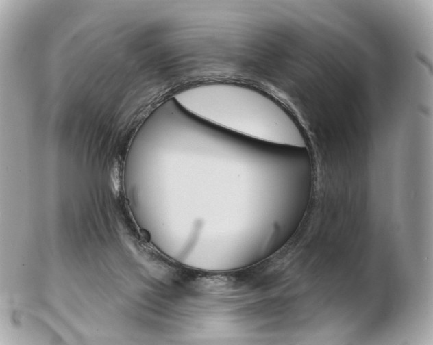 X0000103280069200808291055