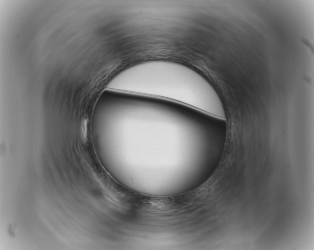 X0000103280070200808291055