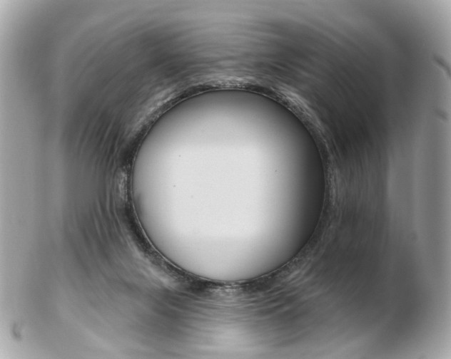 X0000103280071200808291055