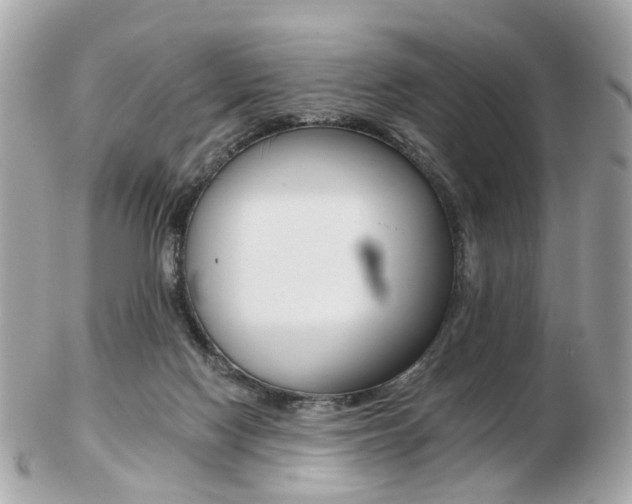 X0000103280074200808291055