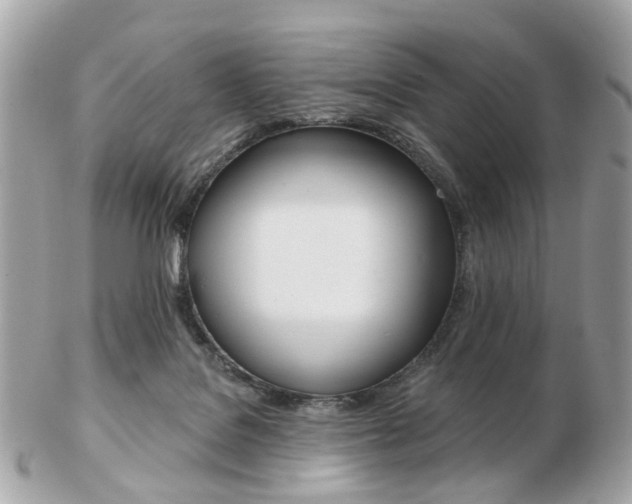 X0000103280076200808291055