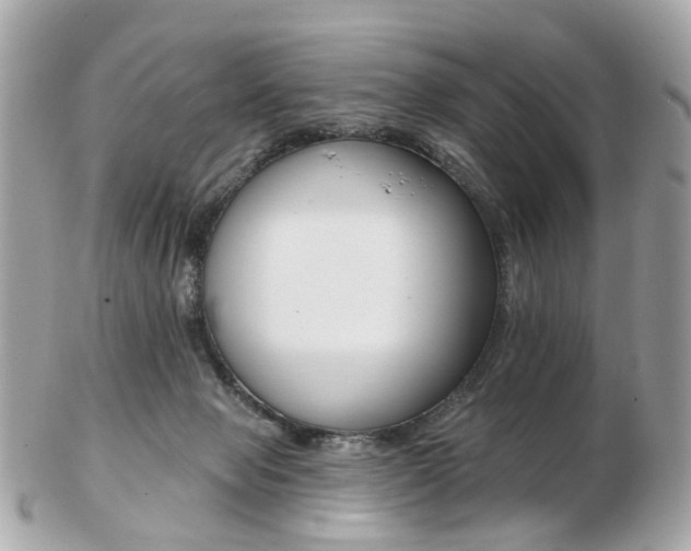 X0000103280077200808291055