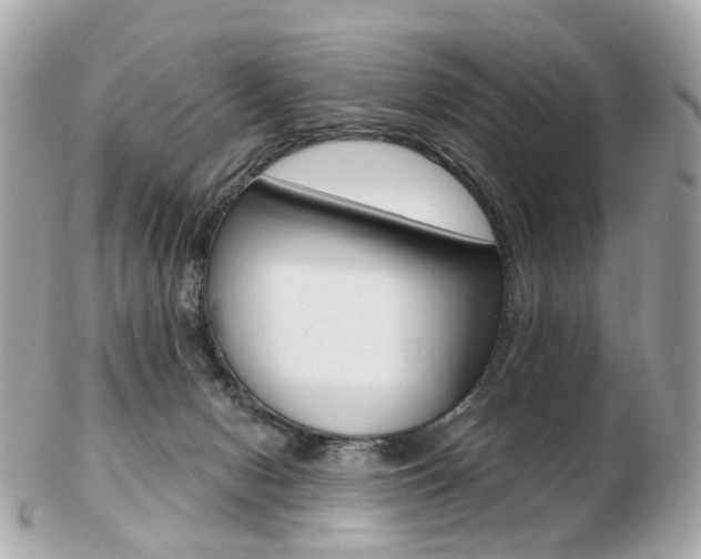 X0000103280078200808291055