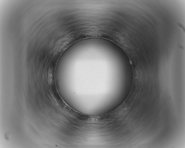 X0000103280080200808291055