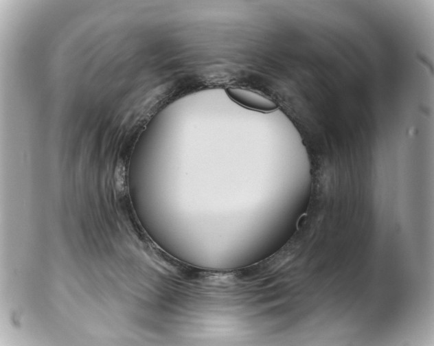 X0000103280081200808291055